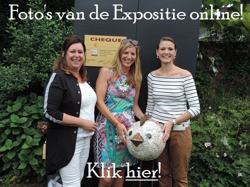 Foto's online